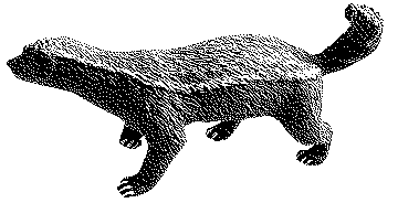 Active Badger