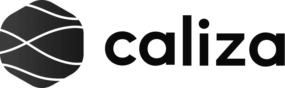 Caliza Wordmark.png